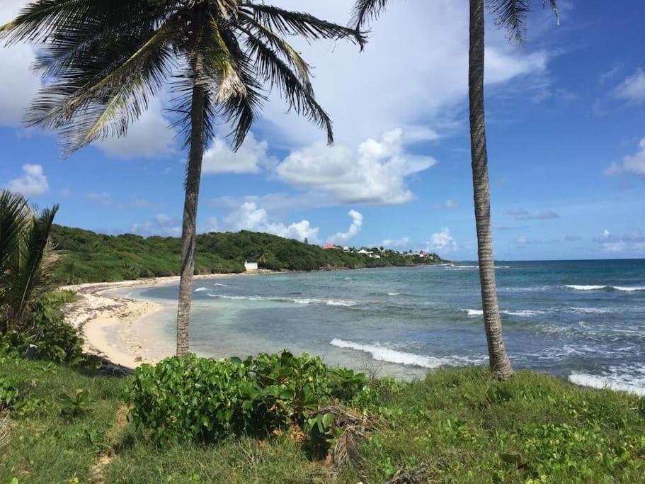 Villa Ti Bleu Caraibes 8 Personnes A St Francois サン・フランソワ エクステリア 写真